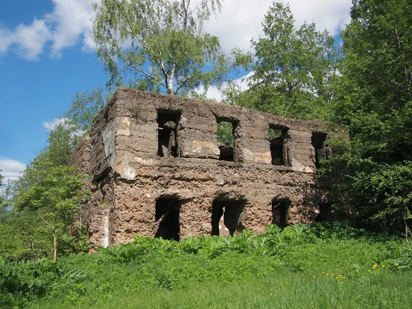 Staré zničené budovy v lese. — Stock fotografie