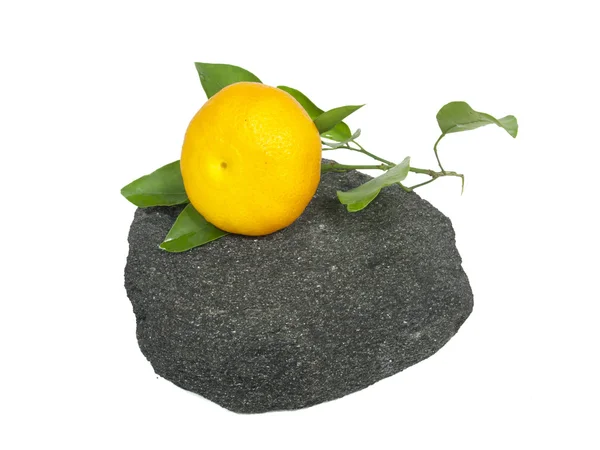 The mandarin`s branch on the stone. — Stock Photo, Image