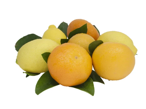 The isolated lemons and mandarins with leaves. — Stock Photo, Image