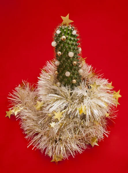 Christmas tree - the decorated cactus. — Stock Photo, Image