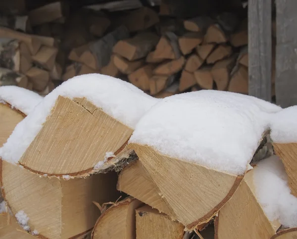 Berk vuur hout in een houtstapel. — Stockfoto