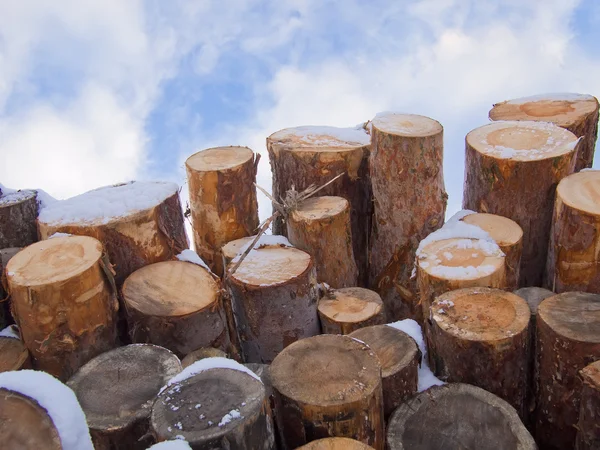 stock image Heap of dry logs against the blue sky.