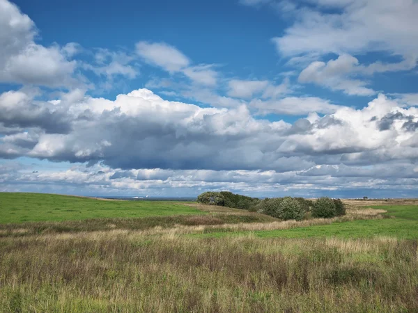 Tło. zielone pole i błękitne niebo z chmurami. — Zdjęcie stockowe