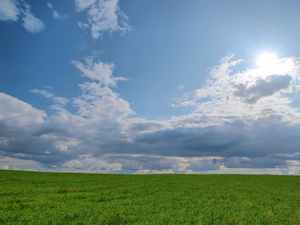 Arka plan. yeşil çim ve mavi gökyüzü bulutlar ve s — Stok fotoğraf