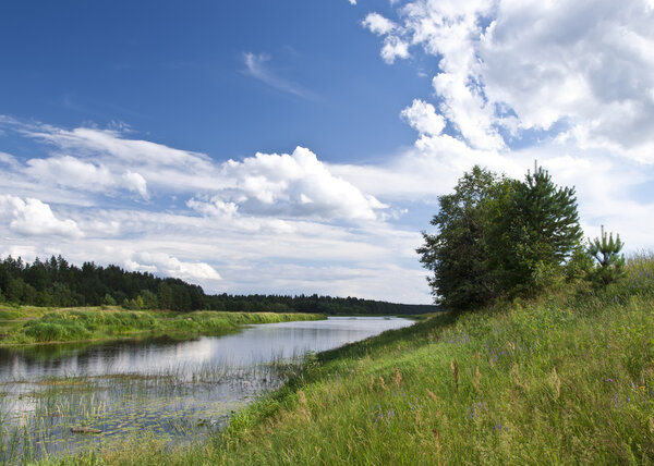 The river Mologa in the summer, the blue sky with clouds. Russia.