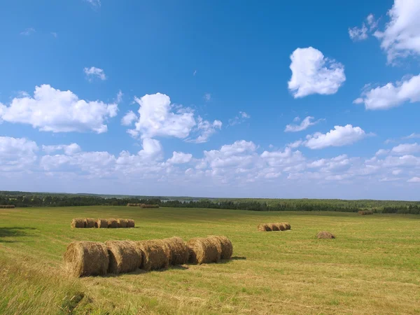 stock image Two hearts in the sky over a field.