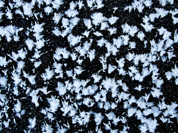 在黑色的冰上的白色雪花. — 图库照片