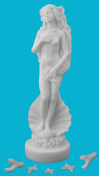 A deusa do amor Afrodite com corais brancos . — Fotografia de Stock