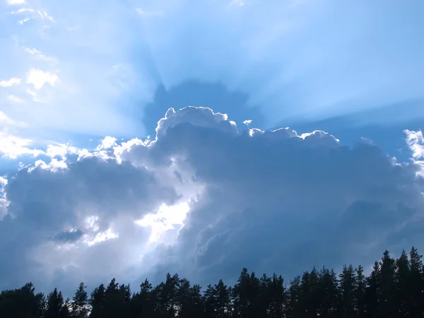 Zonnestralen en wolken boven de toppen van de bomen. — Stockfoto
