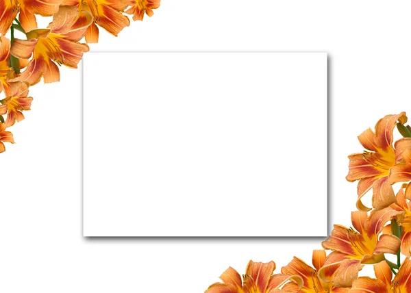 Blume Lilienrahmen mit Platz für den Text. — Stockfoto