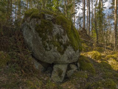 A big stone on the some small stones in the taiga. clipart