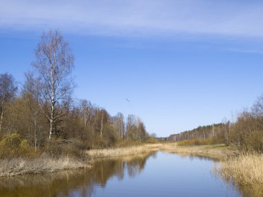 Small small river against the blue sky and clearing up vegetatio clipart