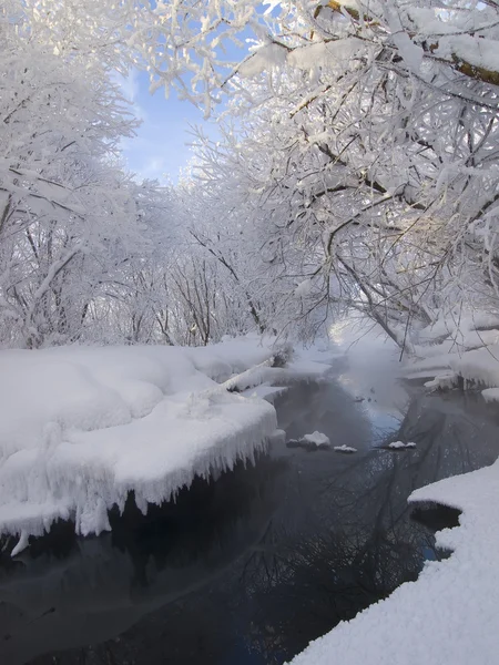 Ruisseau non gelé en hiver, arbres dans la neige . — Photo