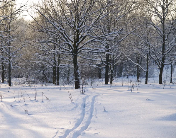 Skipiste in winter park. — Stockfoto