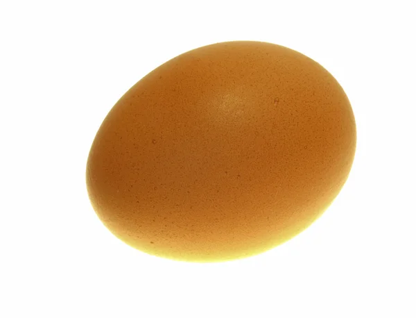 O ovo marrom que se brilhou de baixo . — Fotografia de Stock