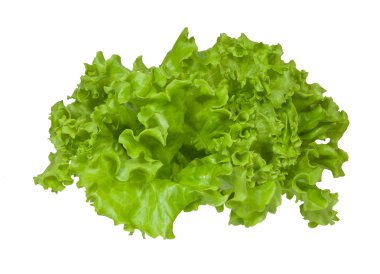 Leaves of green fresh lettucel. clipart