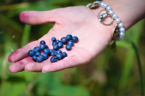 stock image Woman holding fresh berries in her hand