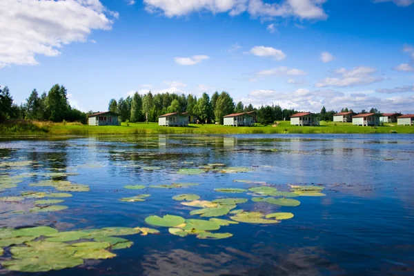 Beautiful forest lake with water lilies — Stock Photo, Image