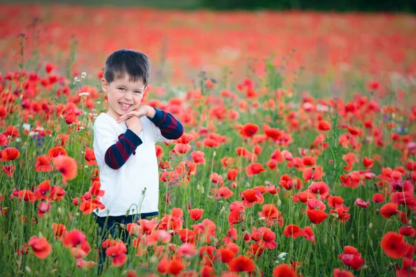 Poppies çocuk — Stok fotoğraf