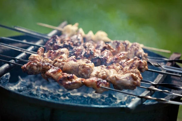 Stock image Grilling at summer weekend