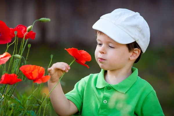 Χαριτωμένο μικρό αγόρι που μυρίζει ένα άγριο λουλούδι — Φωτογραφία Αρχείου