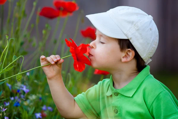 Bonito menino cheira uma flor selvagem — Fotografia de Stock