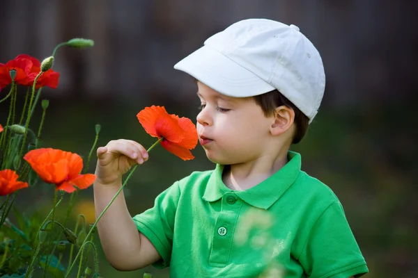 Bonito menino cheira uma flor selvagem — Fotografia de Stock