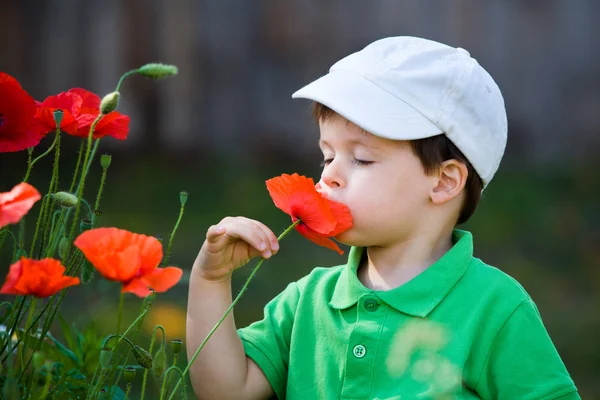 Milý chlapeček voní divoká květina — Stock fotografie