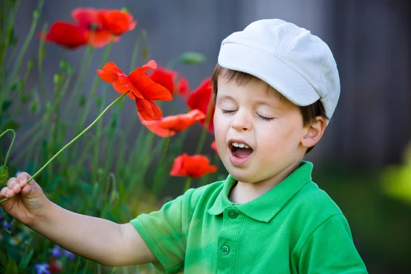 Cute little boy smells a wild flower — Stock Photo, Image