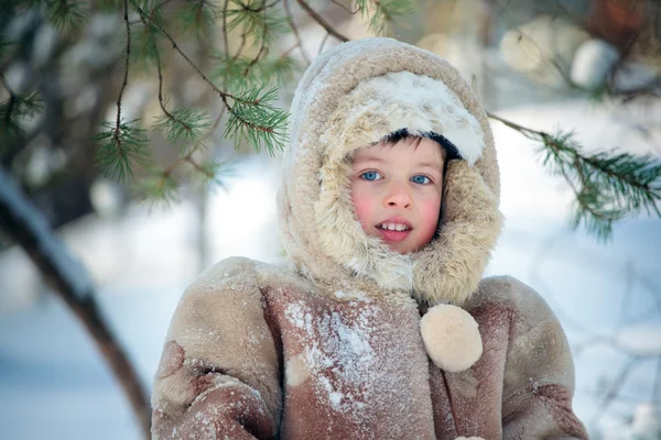 Porträtt av en liten pojke i vinter skog — Stockfoto