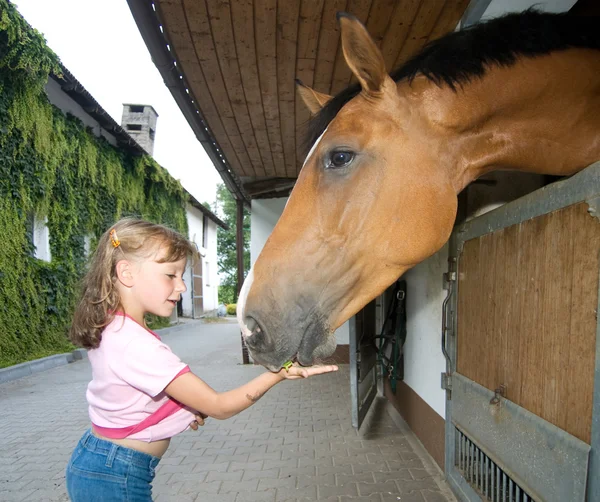 Lány etetés ló — Stock Fotó