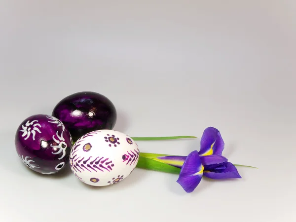 Uova di Pasqua e iris — Foto Stock