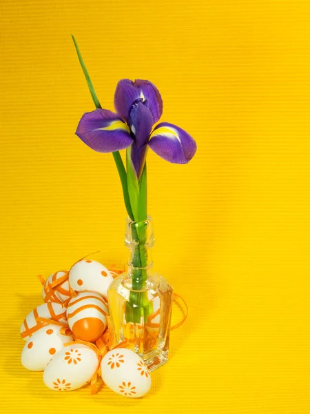 Orangefarbene Ostereier und Iris — Stockfoto