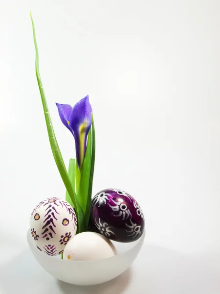 Květina Kosatec s velikonoční eggsd — Stock fotografie
