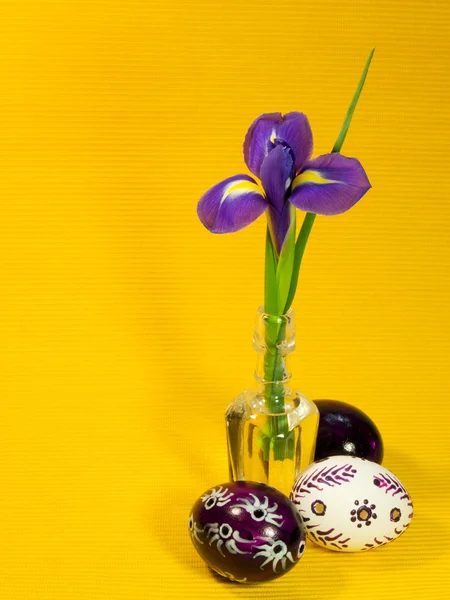 Iris e tre uova di Pasqua — Foto Stock