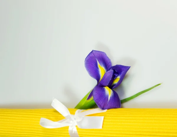 Iris and yellow doilies — Stock Photo, Image