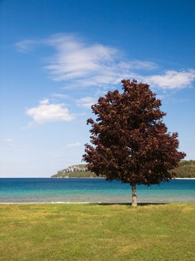 Coastline in Lion´s Head