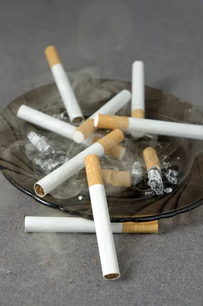 Cigaretter - Stock-foto