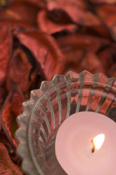 Růžová svíčka — Stock fotografie
