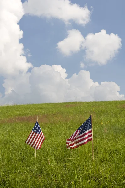 Amerikai zászlók — Stock Fotó