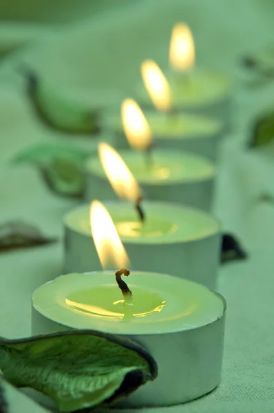 Zielony świece — Zdjęcie stockowe
