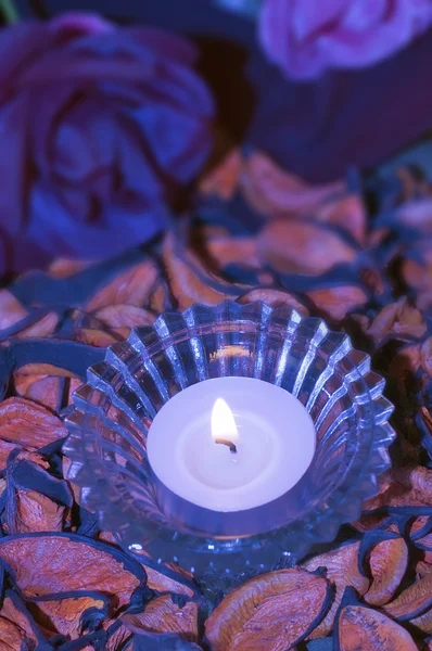 Пурпурная свеча — стоковое фото