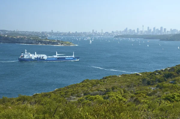 Sydney kustlijn — Stockfoto