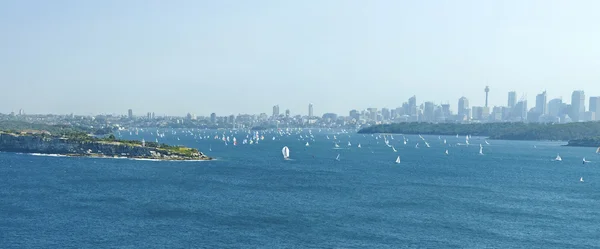 悉尼全景海岸线 — 图库照片