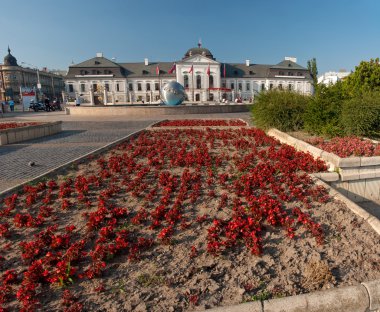 Grassalkovich Sarayı