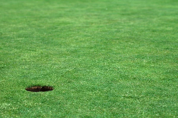 Stock image Hole in the ground