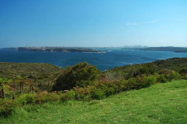 Сиднейская панорама — стоковое фото