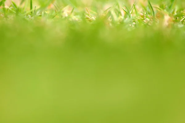 Трава текстури — стокове фото