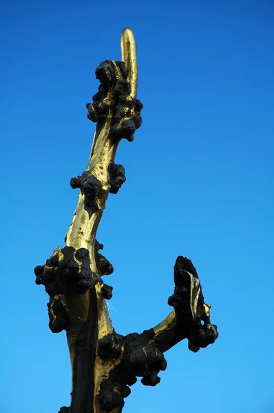 Albero d'oro — Foto Stock