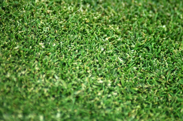 Травяной узор — стоковое фото